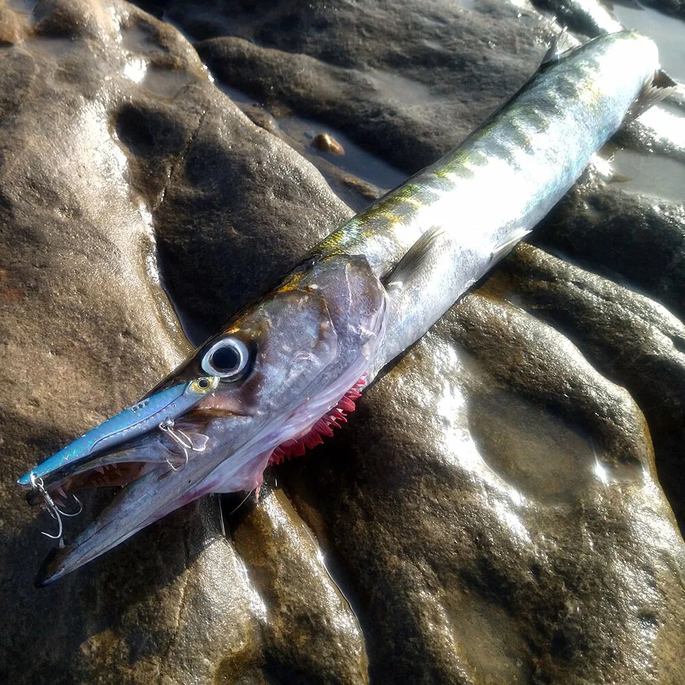 GOBAIT VIB الصيد إغراء 20 جرام - مراجعة Fishing Hook Treble وسعره